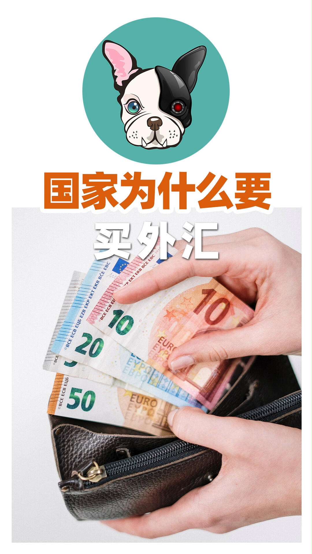 为什么要减少外汇储备(为什么增加外汇储备)